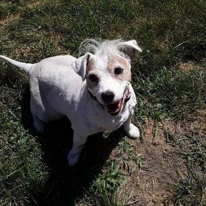 Meet your Posher, Sherry